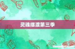 灵魂摆渡第三季