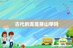 古代的龙是穿山甲吗