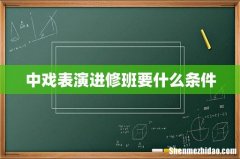 中戏表演进修班要什么条件