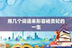 用几个词语来形容杨贵妃的一生