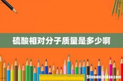 硫酸相对分子质量是多少啊