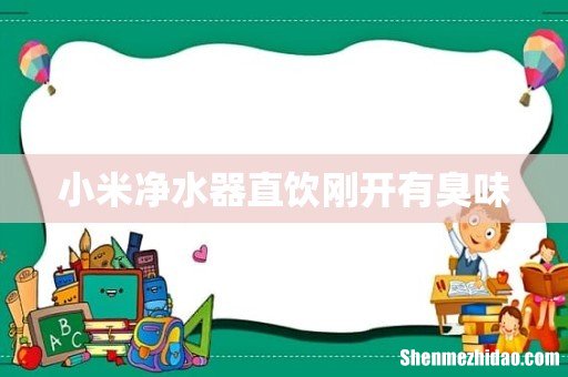 小米净水器直饮刚开有臭味