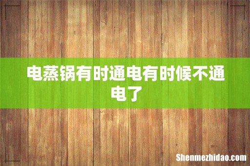 电蒸锅有时通电有时候不通电了