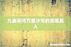 九曲黄河万里沙写的是哪类人