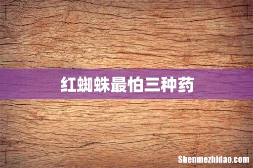 红蜘蛛最怕三种药