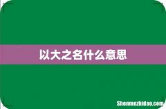 以大之名什么意思