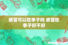 感冒可以吃李子吗 感冒吃李子好不好