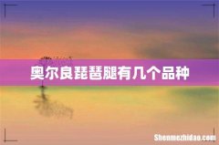 奥尔良琵琶腿有几个品种