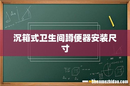 沉箱式卫生间蹲便器安装尺寸