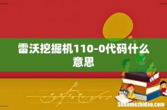 雷沃挖掘机110-0代码什么意思