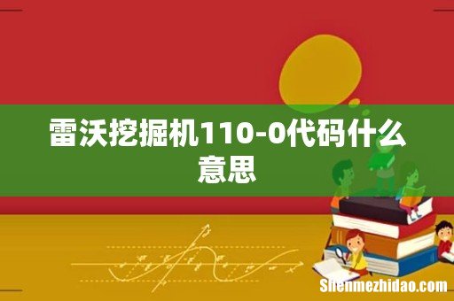 雷沃挖掘机110-0代码什么意思