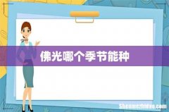 佛光哪个季节能种