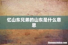 忆山东兄弟的山东是什么意思