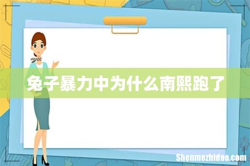 兔子暴力中为什么南熙跑了