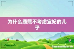 为什么康熙不考虑宜妃的儿子