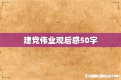 建党伟业观后感50字