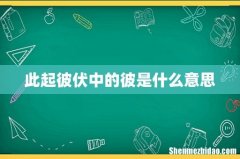 此起彼伏中的彼是什么意思