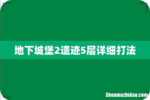 地下城堡2遗迹5层详细打法