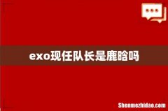 exo现任队长是鹿晗吗