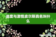 速度与激情皮尔斯真名叫什么