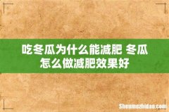 吃冬瓜为什么能减肥 冬瓜怎么做减肥效果好