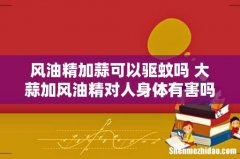 风油精加蒜可以驱蚊吗 大蒜加风油精对人身体有害吗
