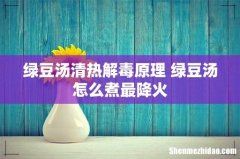 绿豆汤清热解毒原理 绿豆汤怎么煮最降火