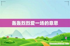 轰轰烈烈爱一场的意思
