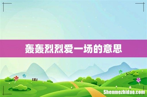 轰轰烈烈爱一场的意思