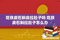 吃铁皮石斛会拉肚子吗 吃铁皮石斛拉肚子怎么办