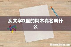 头文字D里的阿木真名叫什么