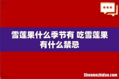 雪莲果什么季节有 吃雪莲果有什么禁忌