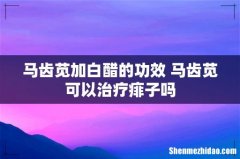 马齿苋加白醋的功效 马齿苋可以治疗痱子吗