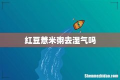 红豆薏米粥去湿气吗