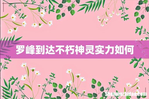 罗峰到达不朽神灵实力如何