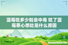 蓝莓吃多少粒会中毒 吃了蓝莓恶心想吐是什么原因
