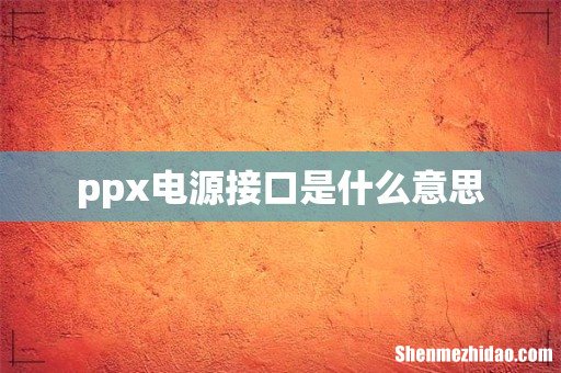ppx电源接口是什么意思