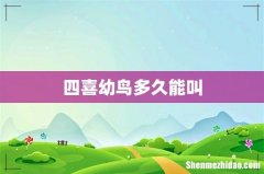 四喜幼鸟多久能叫