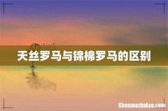 天丝罗马与锦棉罗马的区别