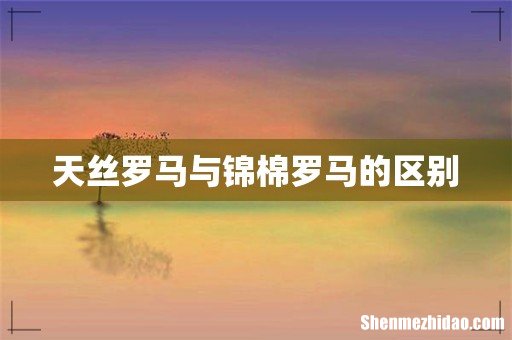天丝罗马与锦棉罗马的区别
