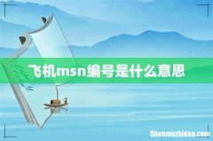 飞机msn编号是什么意思