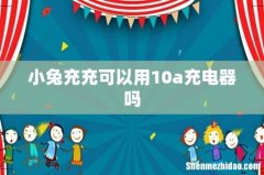 小兔充充可以用10a充电器吗