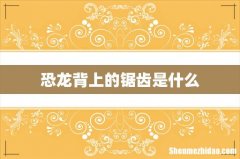 恐龙背上的锯齿是什么