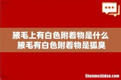 腋毛上有白色附着物是什么 腋毛有白色附着物是狐臭吗