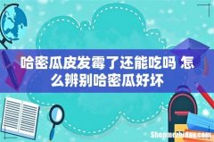 哈密瓜皮发霉了还能吃吗 怎么辨别哈密瓜好坏