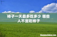 柿子一天最多吃多少 哪些人不宜吃柿子