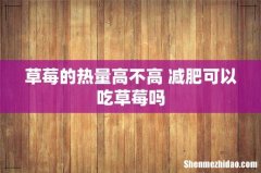 草莓的热量高不高 减肥可以吃草莓吗