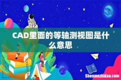 CAD里面的等轴测视图是什么意思