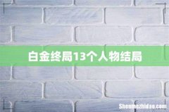 白金终局13个人物结局