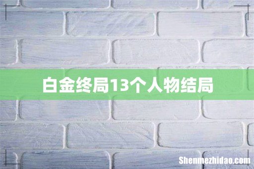白金终局13个人物结局